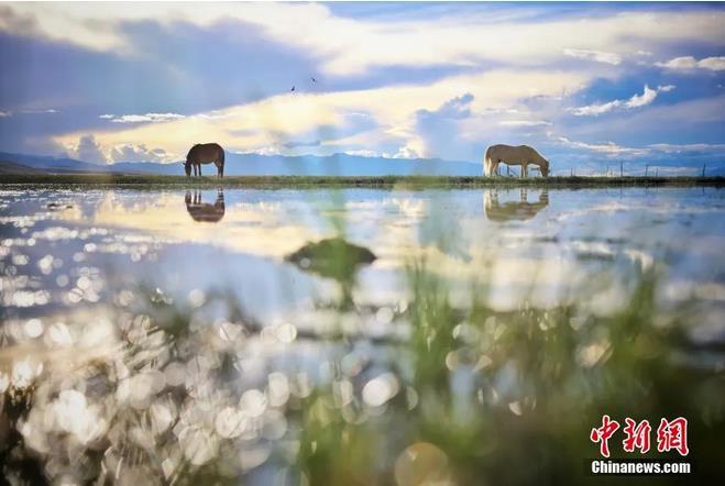 资料图：那曲市申扎县境内的湿地。李雪峰 摄