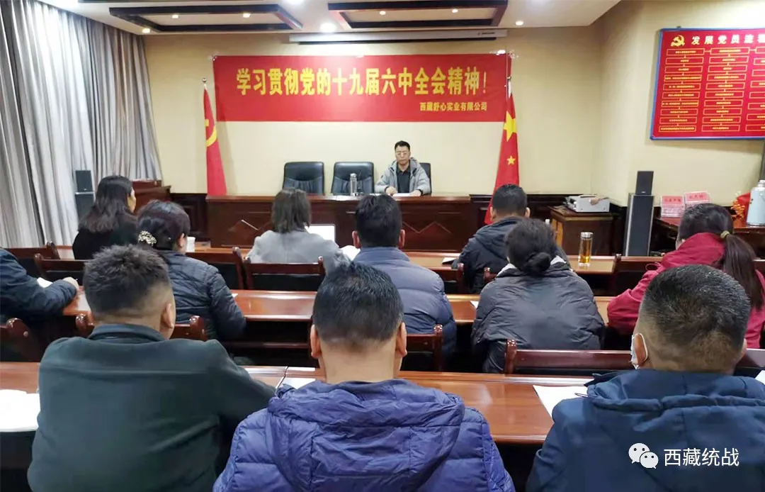 西藏舒心实业有限公司组织召开专题会议集中学习党的十九届六中全会精神