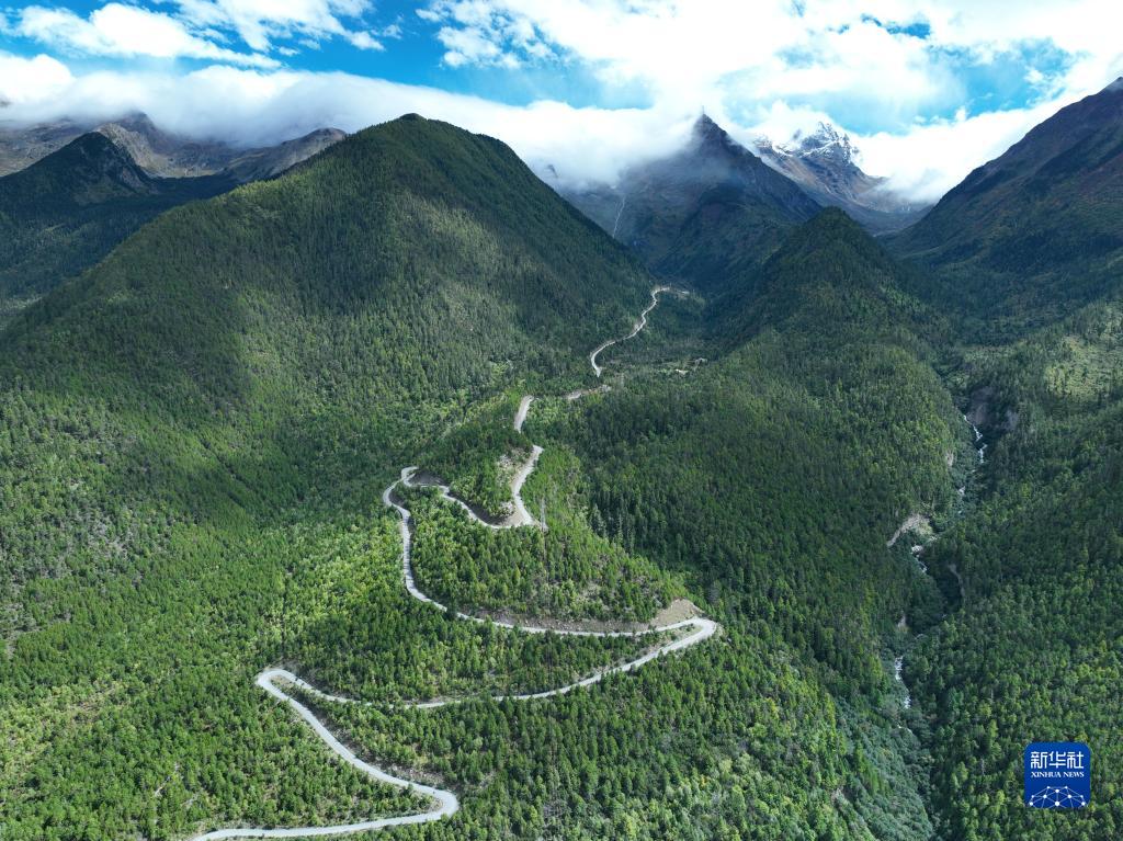 西藏林芝派鎮至墨脫公路主體工程完工