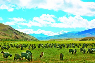 西藏：雪域响彻盛世牧歌
