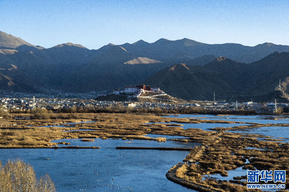 西藏拉魯濕地：綠色發展綻放生態之美
