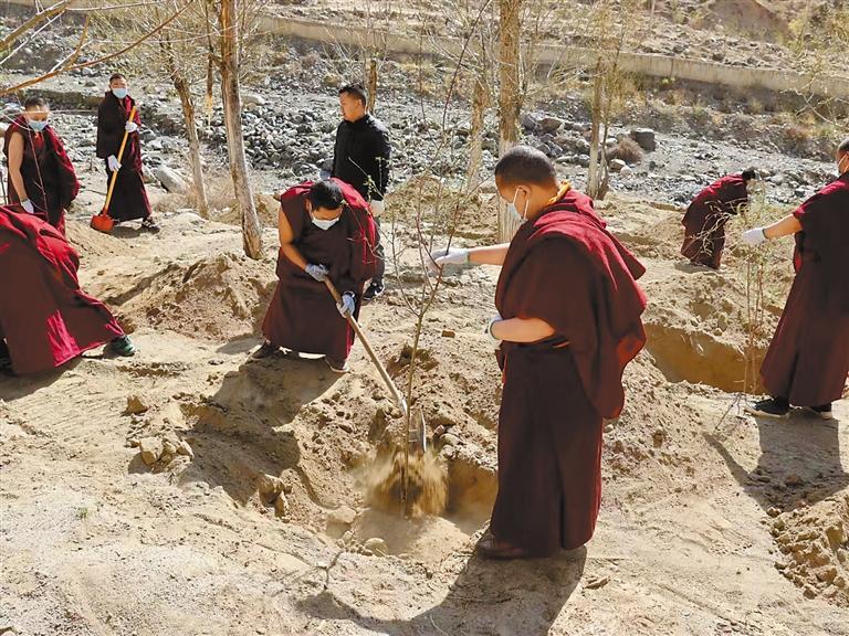 西藏宗教部门组织开展义务植树活动