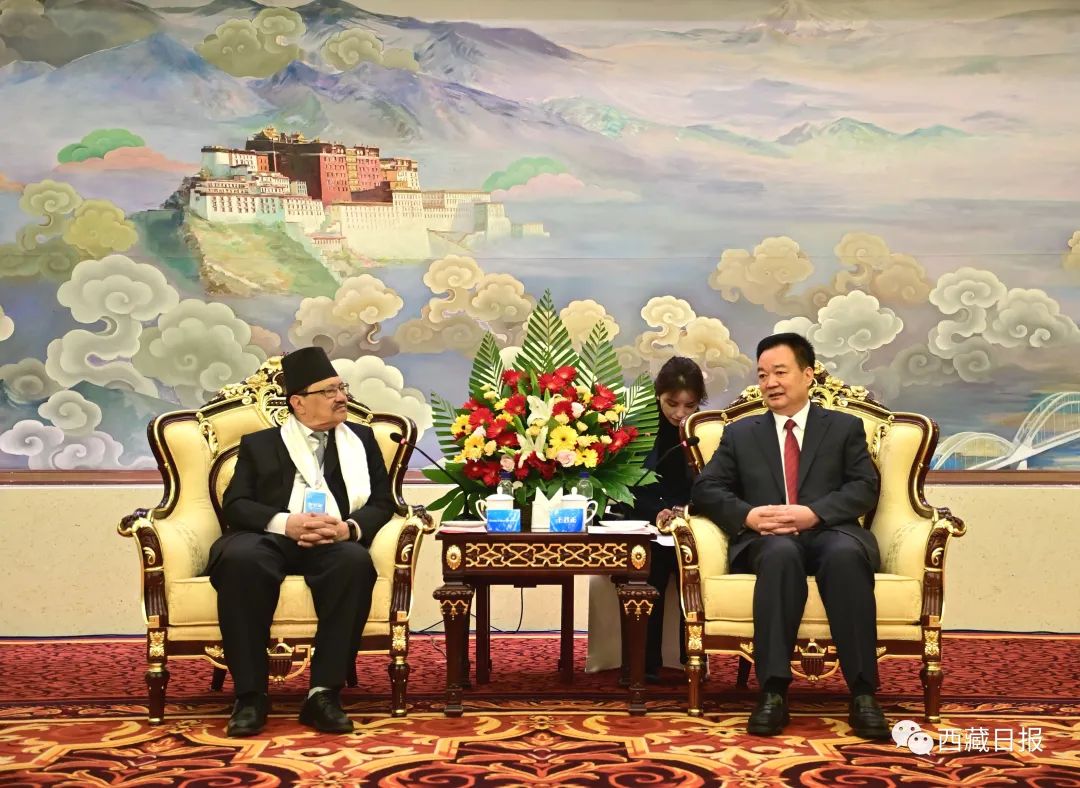 王君正嚴金海會見“2023·中國西藏發展論壇”參訪團駐華使節