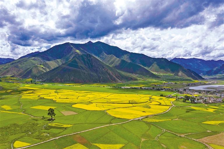 墨竹工卡縣：松贊故里，油菜花開(kāi)等你來(lái)！