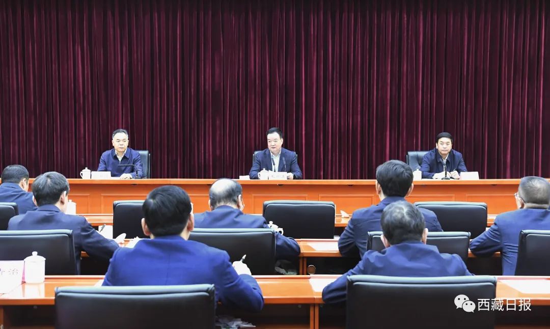 王君正：努力做好全区生态环境保护工作