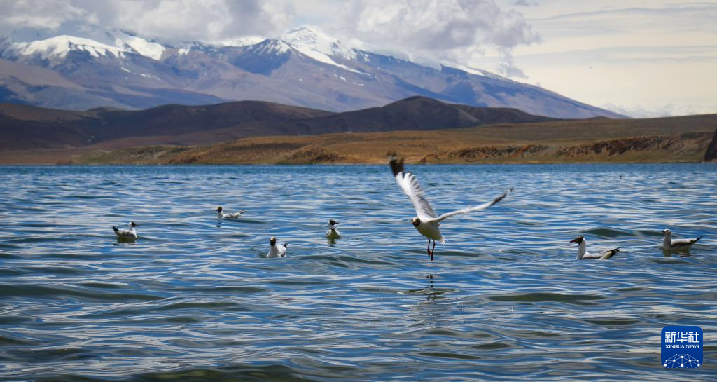 西藏阿里：“神山圣湖”
