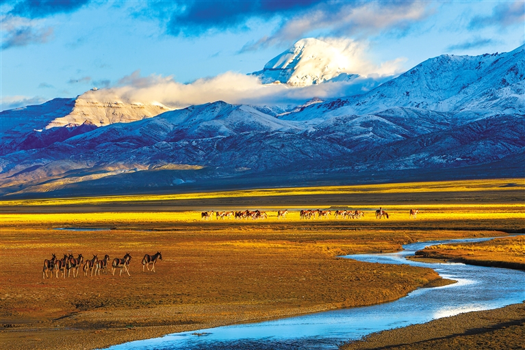 “第十六届西藏珠穆朗玛摄影大展”作品选登