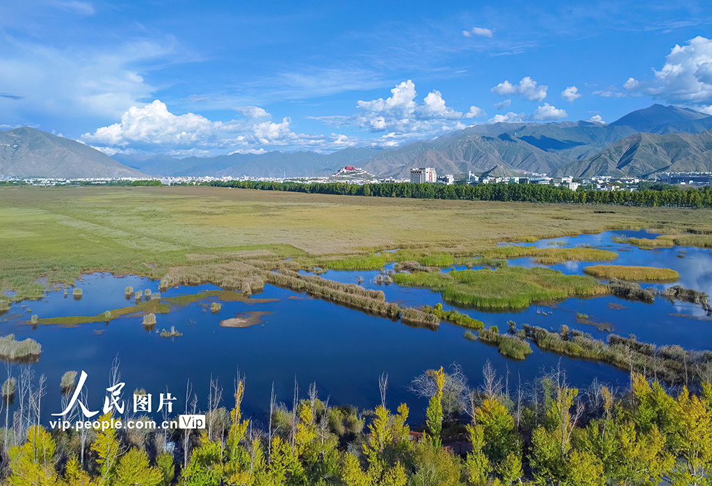 西藏拉萨：拉鲁湿地风光美【4】