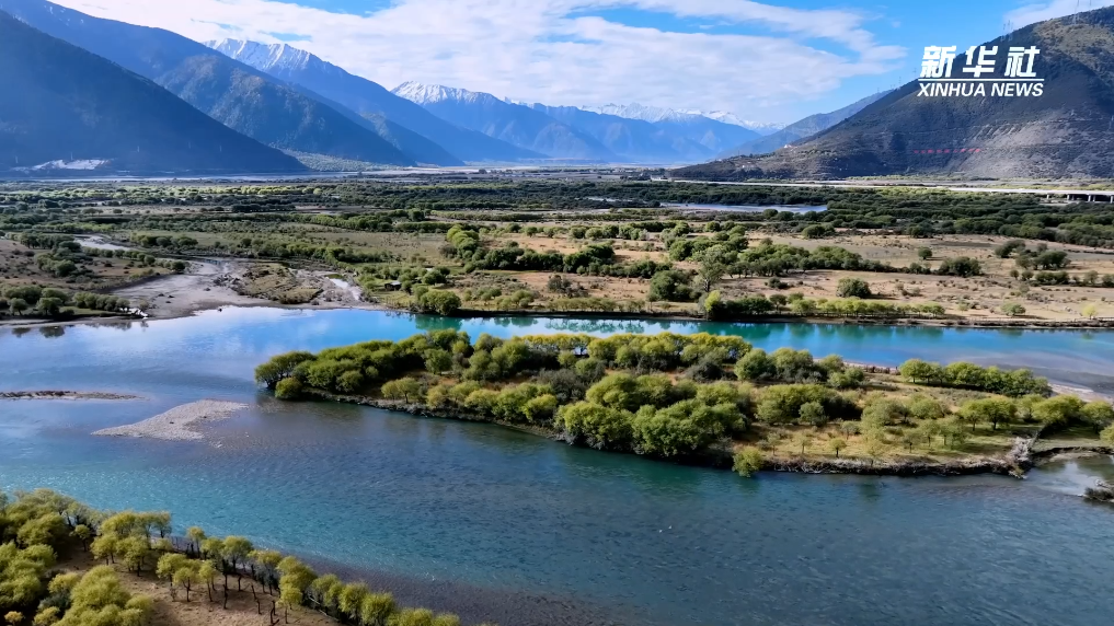 西藏雅尼湿地：面山绿化 增绿添彩