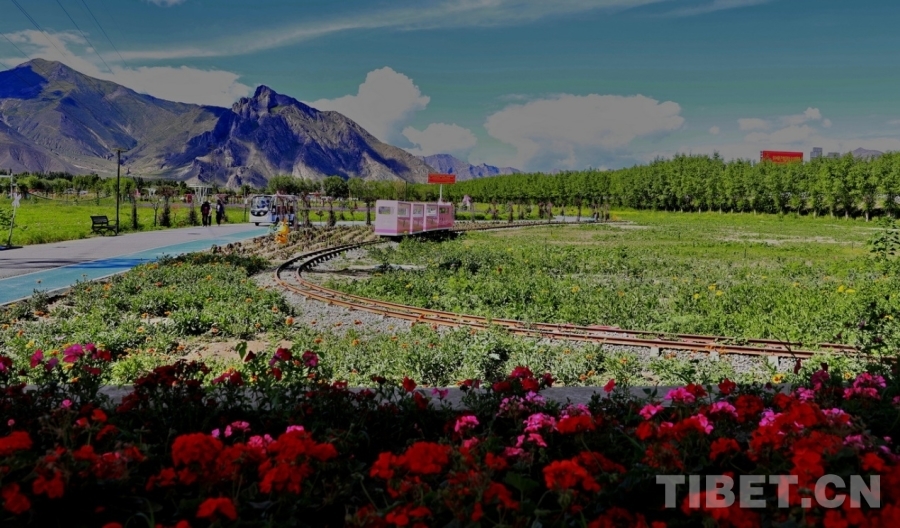 輝煌60年·我們的家園｜拉薩旅游寶藏打卡地+才納園區(qū)美得離譜
