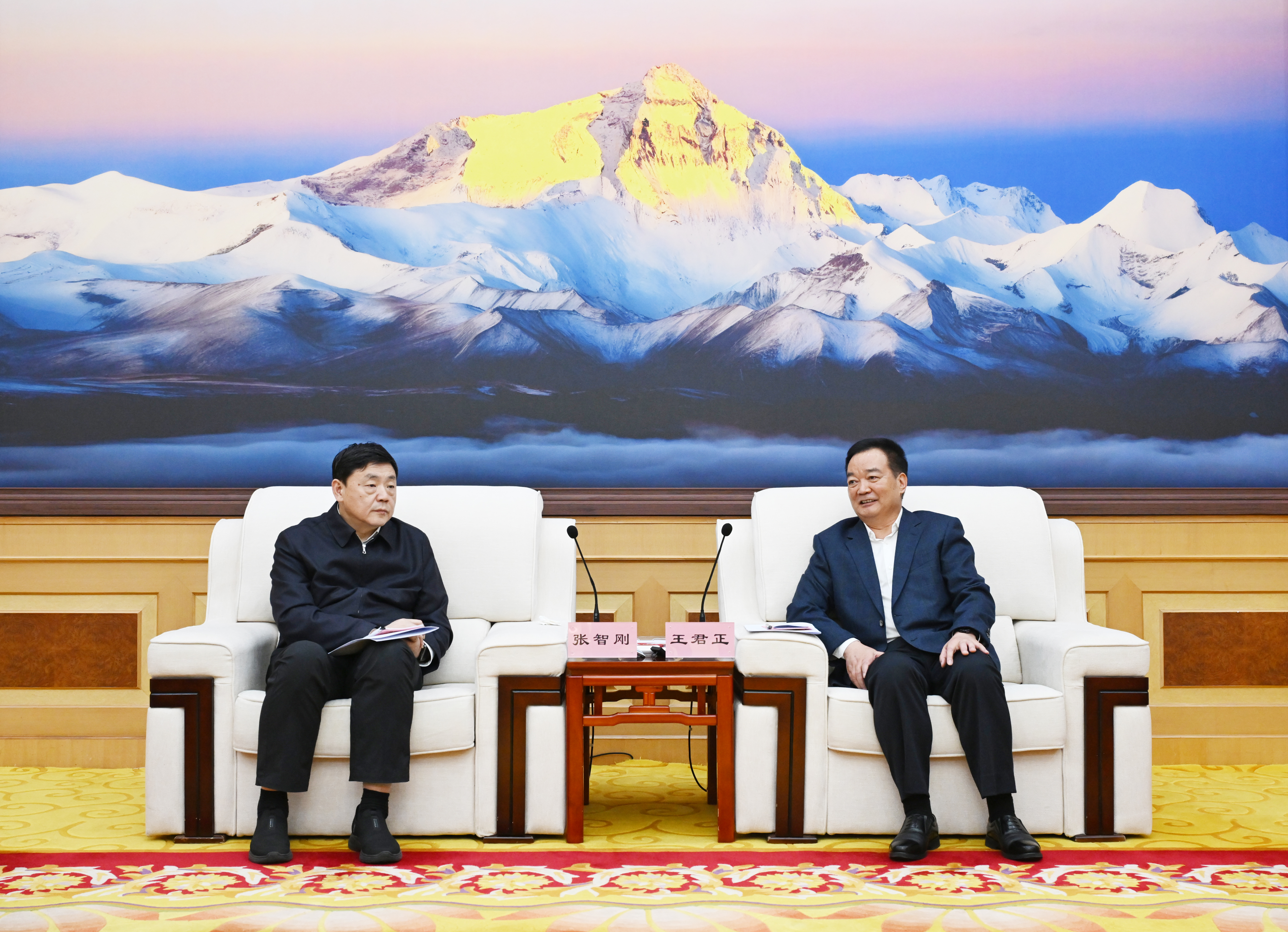 王君正与国家电网公司董事长张智刚座谈
