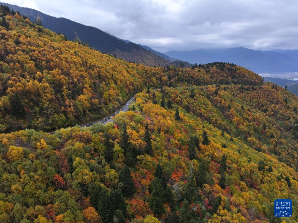 西藏林芝：色季拉山秋色浓