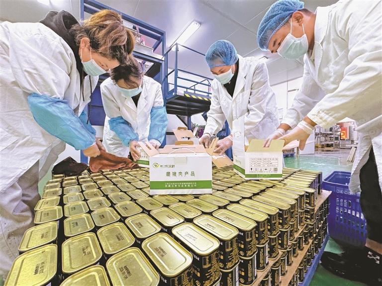 民企躍動(dòng) 活力迸發(fā)