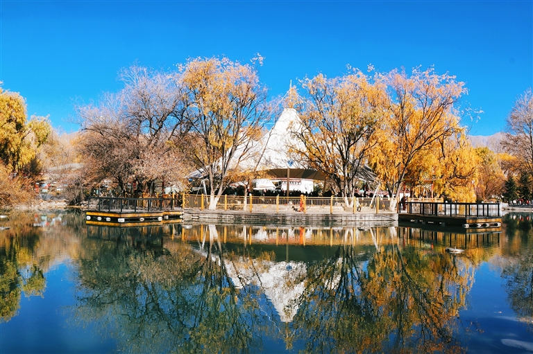 秋冬更迭 拉薩換季煥新顏
