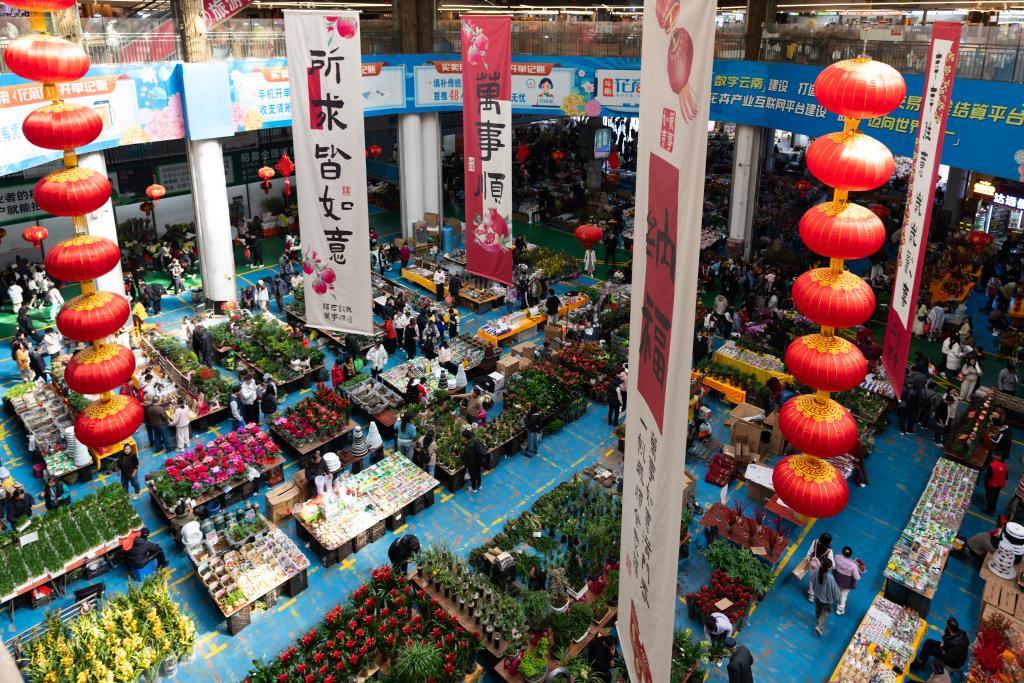 云南昆明一花卉市场，市民和游客在选购鲜花。