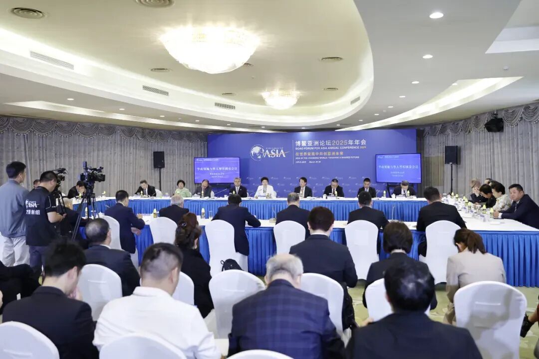 【见证 2025】年度热词：博鳌亚洲论坛2025年年会·华商领袖与华人智库圆桌会议