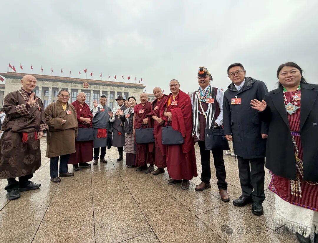 住藏全国政协委员出席大会