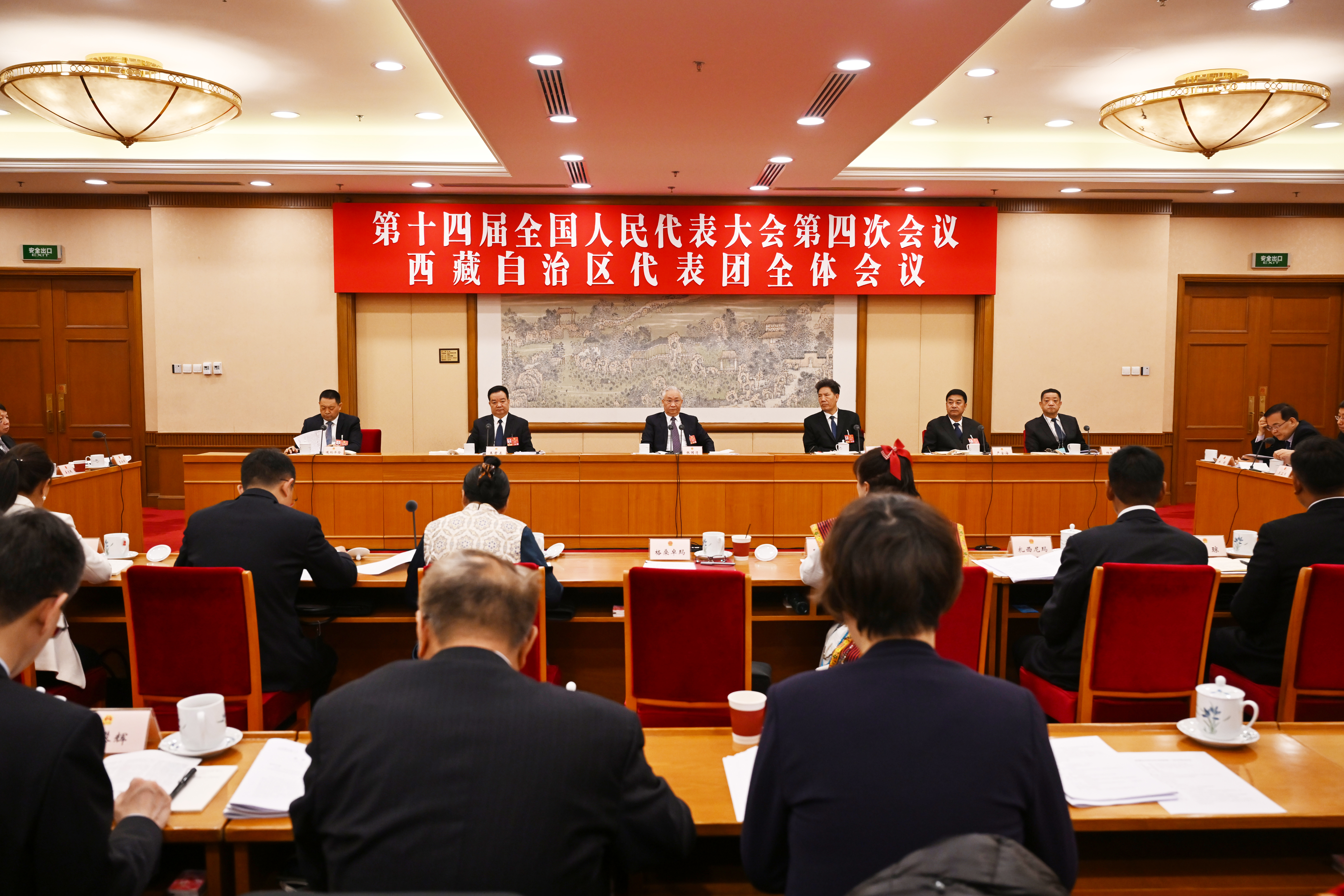 西藏代表团举行全体会议 传达学习习近平总书记在参加江苏代表团审议时的重要讲话精神