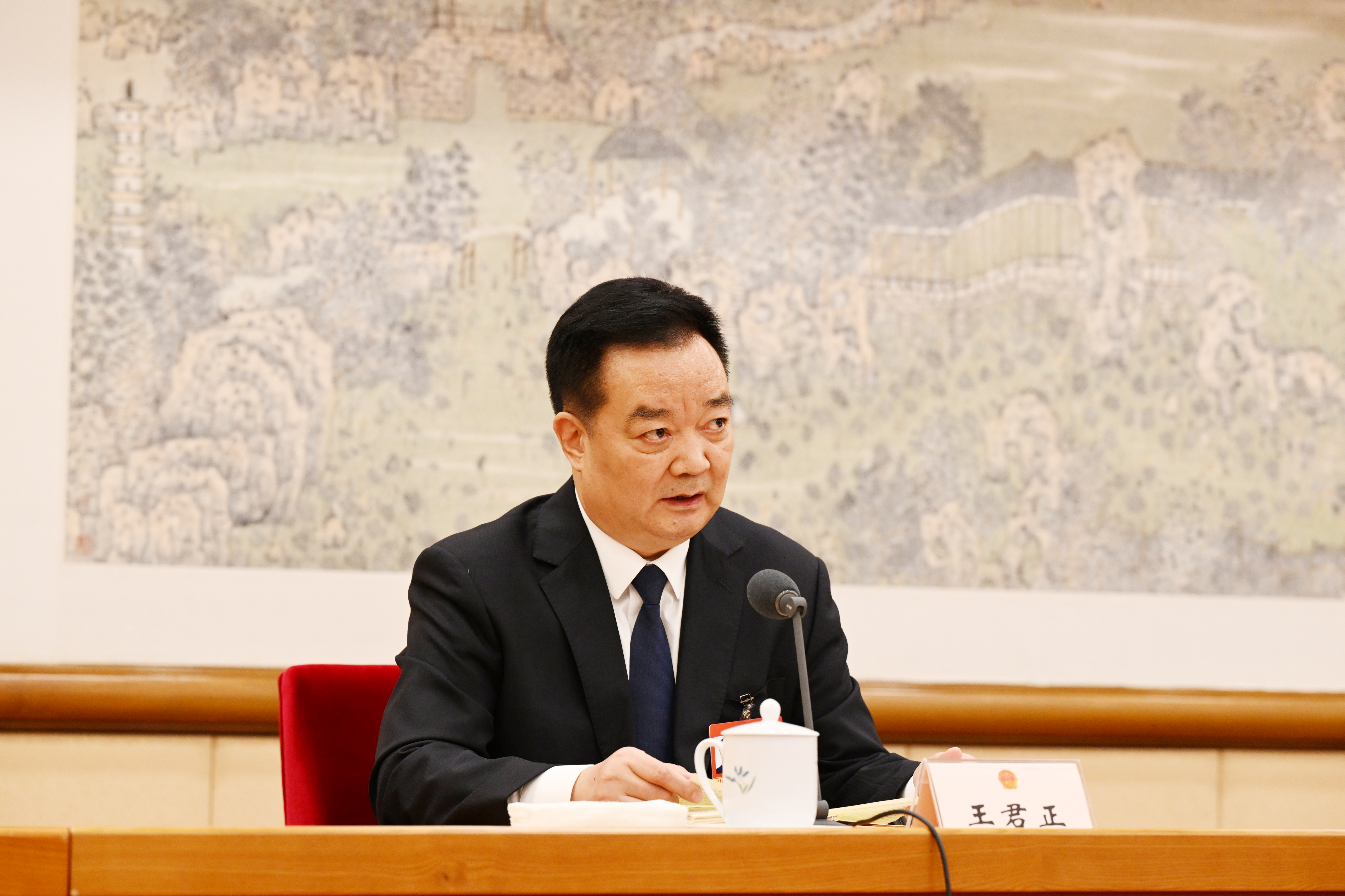 王君正在审议政府工作报告时强调 深入学习贯彻习近平新时代中国特色社会主义思想 努力推动长治久安和高质量发展