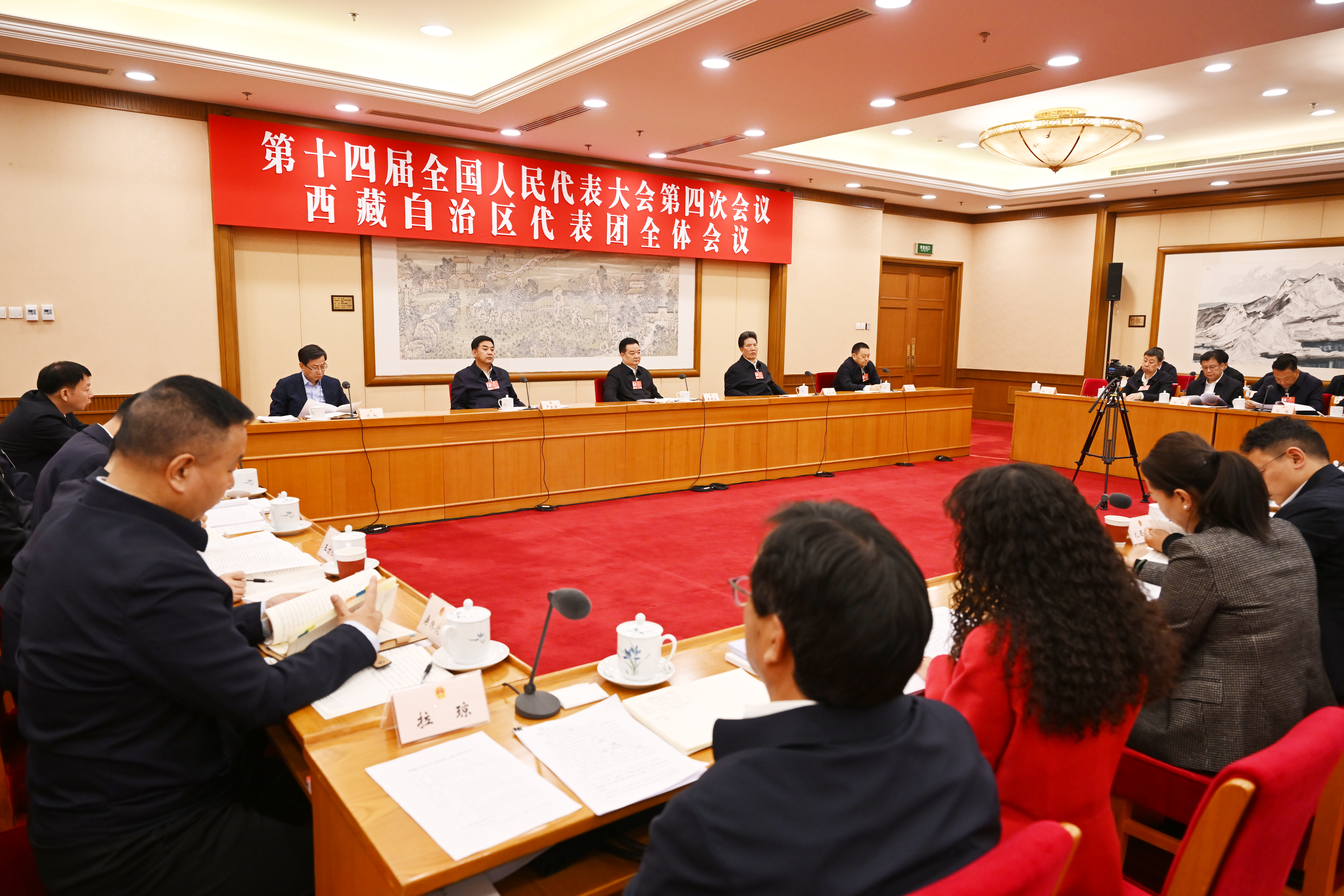 西藏代表团举行全体会议 传达学习习近平总书记重要讲话精神