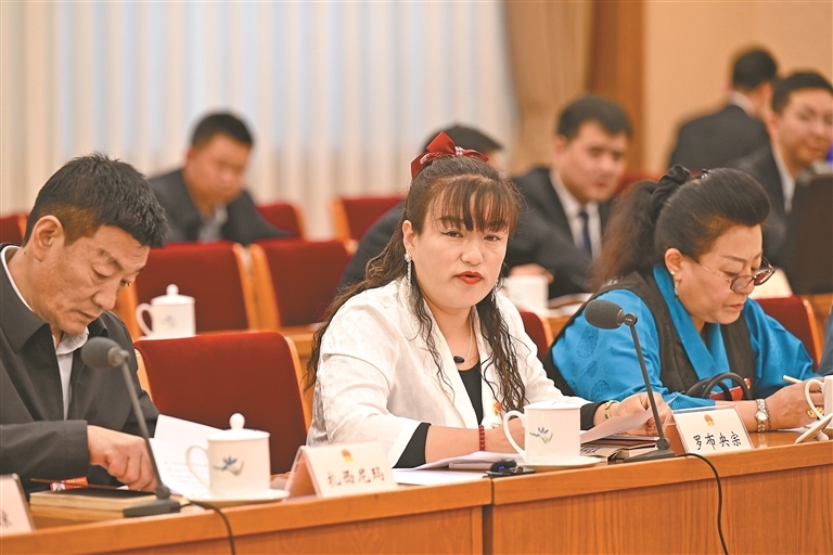 住藏全国政协委员向大会提交20件高质量提案