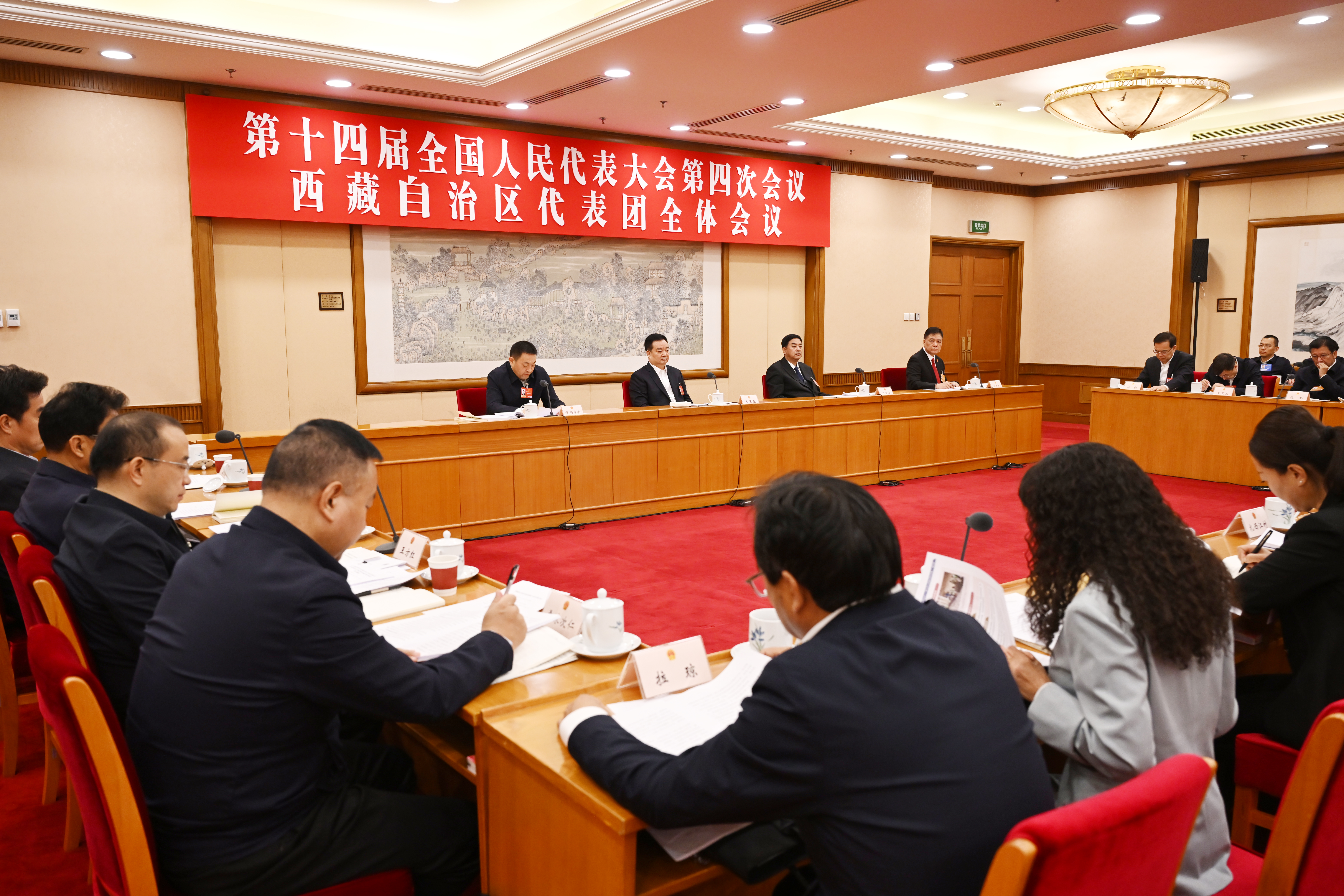 西藏代表团举行全体会议 审议“两院”工作报告等 王君正讲话 严金海发言 嘎玛泽登主持