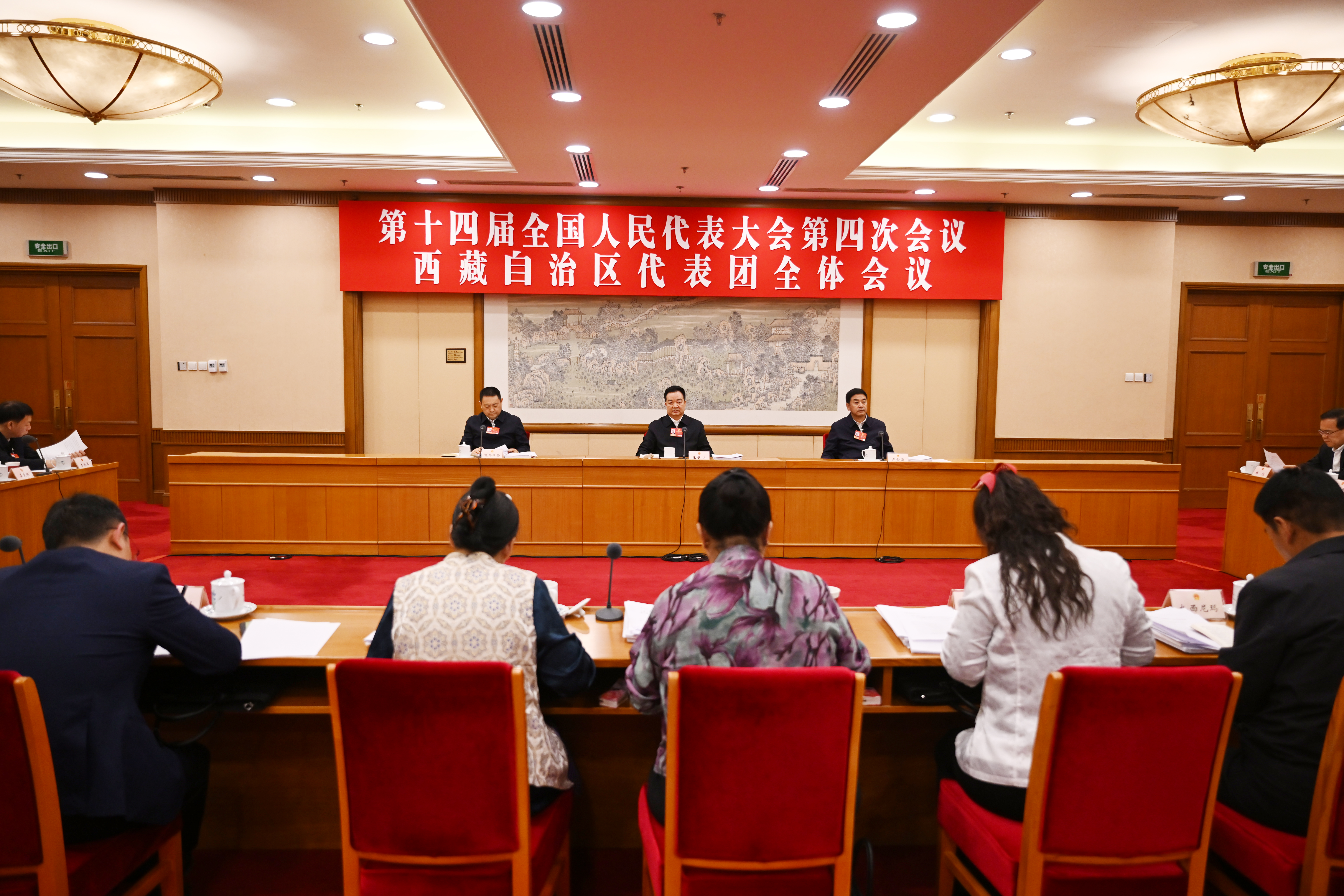 西藏代表团举行全体会议 审议有关报告和决议草案 王君正严金海参加 嘎玛泽登主持