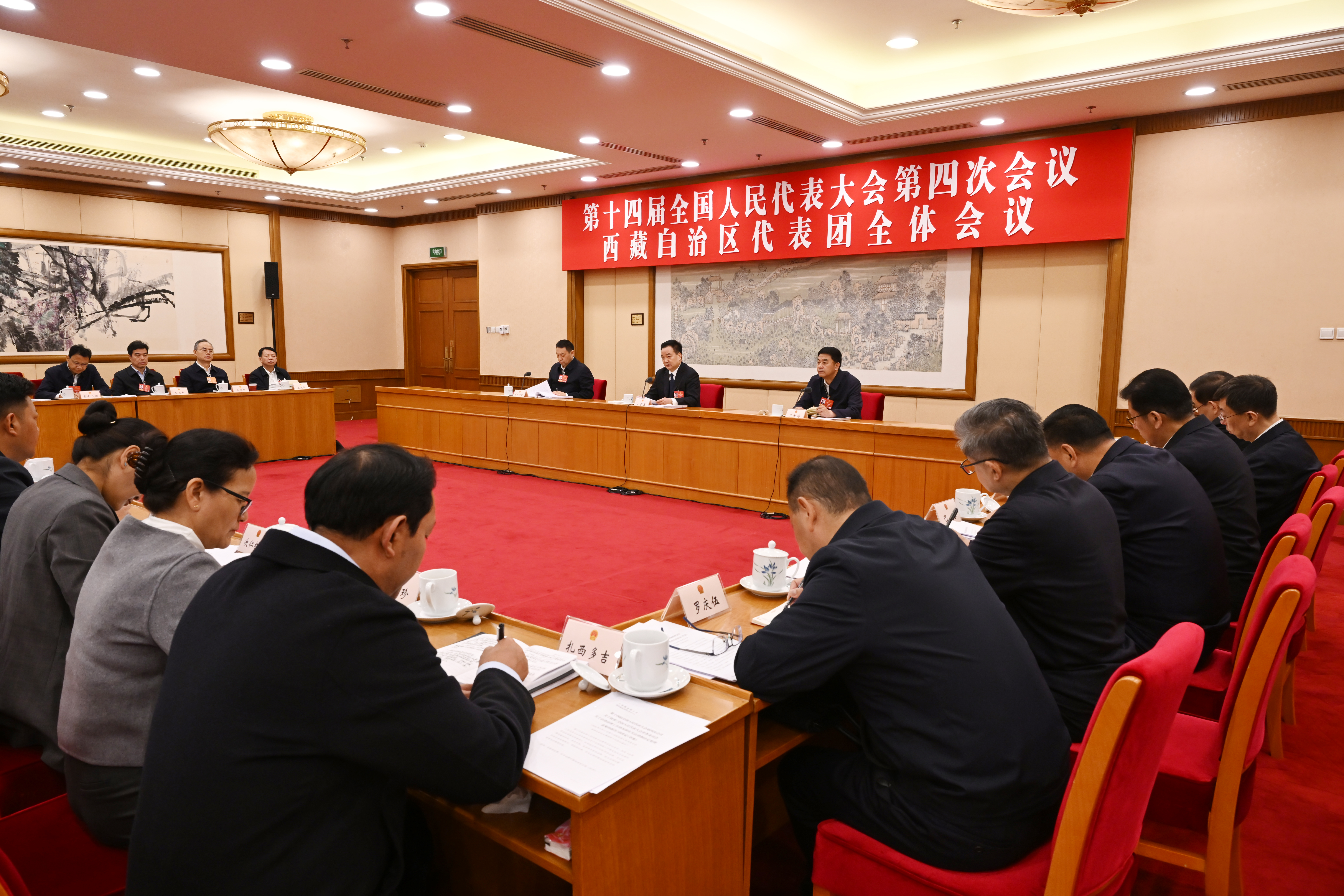 西藏代表团举行全体会议 审议大会有关决议决定草案 王君正主持并讲话 严金海嘎玛泽登参加