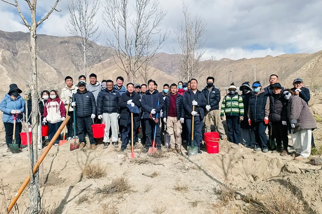 自治区党委统战部开展义务植树活动