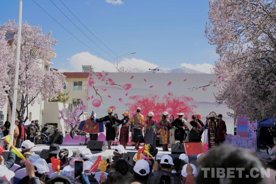 桃花烂漫，霓裳华彩——西藏七地市传统服饰惊艳亮相