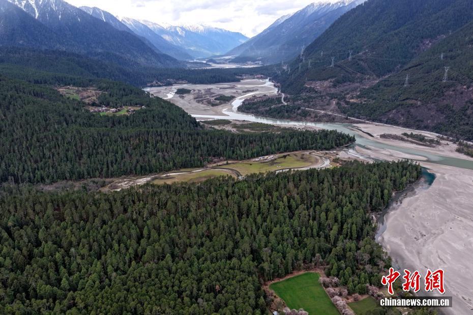 西藏波密桃花林海相映成趣