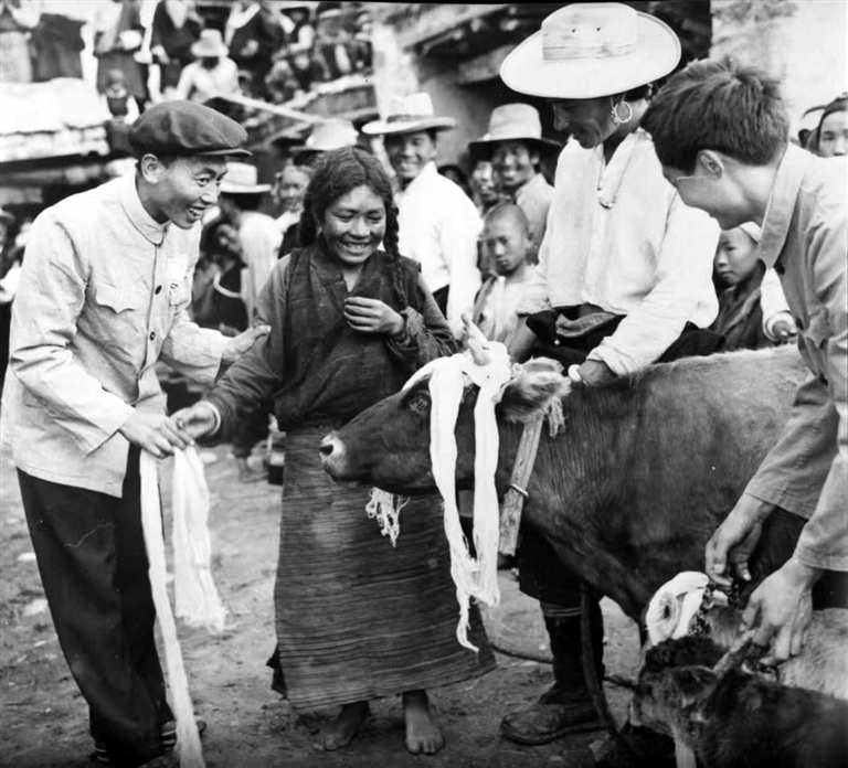 高原处处沐春晖