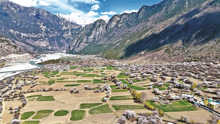 半山桃花半河田