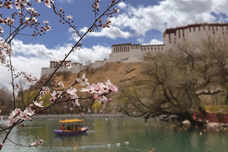 繁花渐开春意浓 慢时光里话幸福