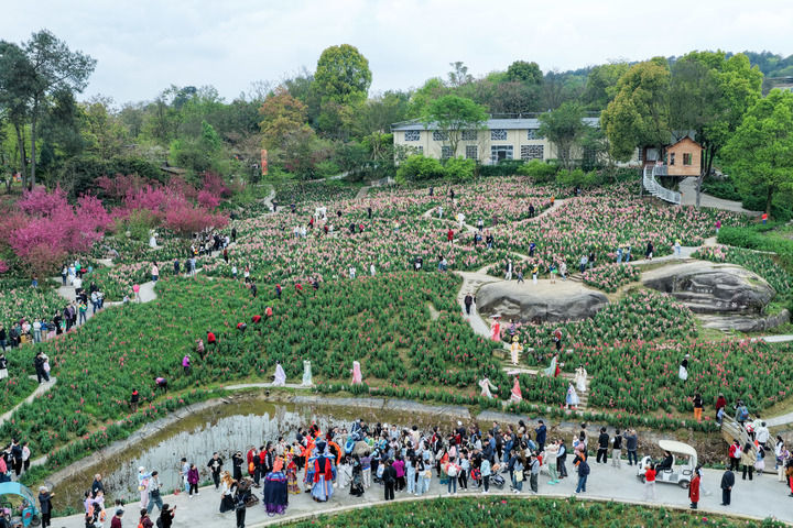 听民意 解民忧 固长效——各地扎实开展树立和践行正确政绩观学习教育
