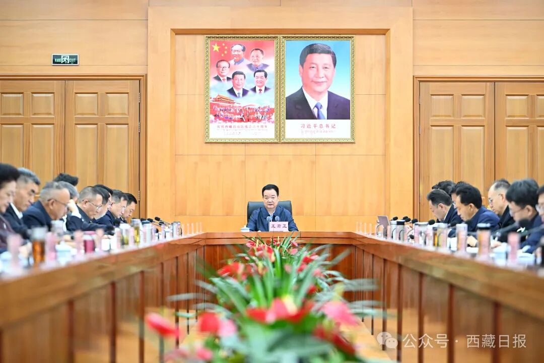 王君正主持召开自治区党委生态文明建设领导小组会议