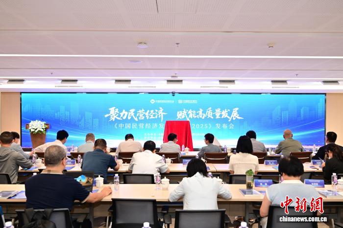 蓝皮书：民营企业创新贡献度持续上升