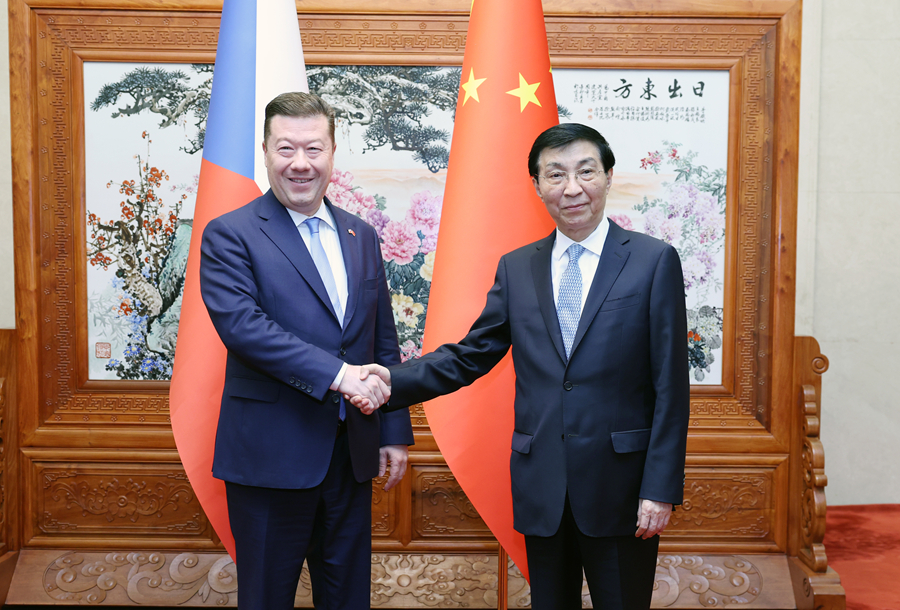 王沪宁会见捷克众议长冈村富夫