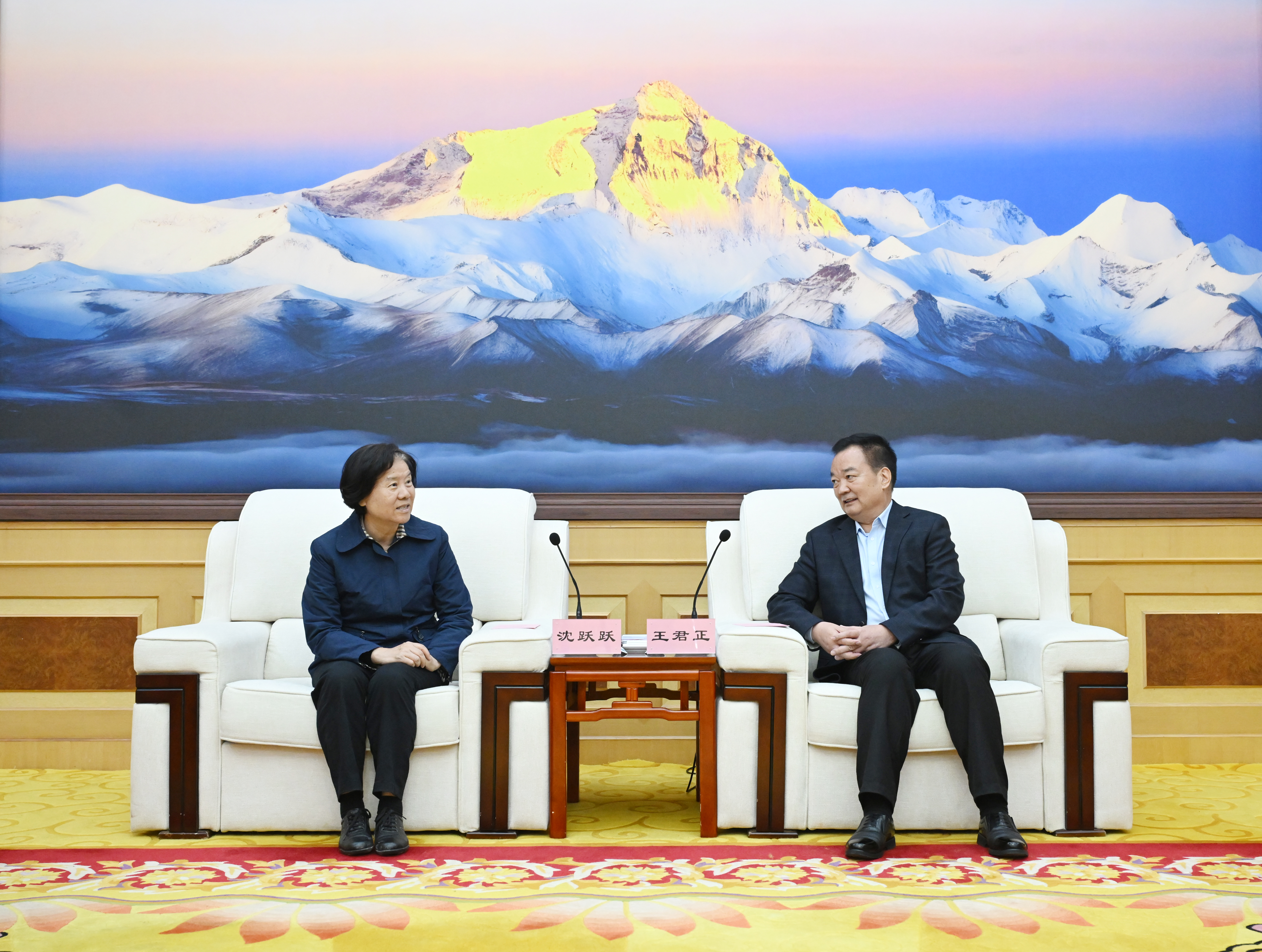 王君正与全国政协副主席沈跃跃率队的考察团座谈