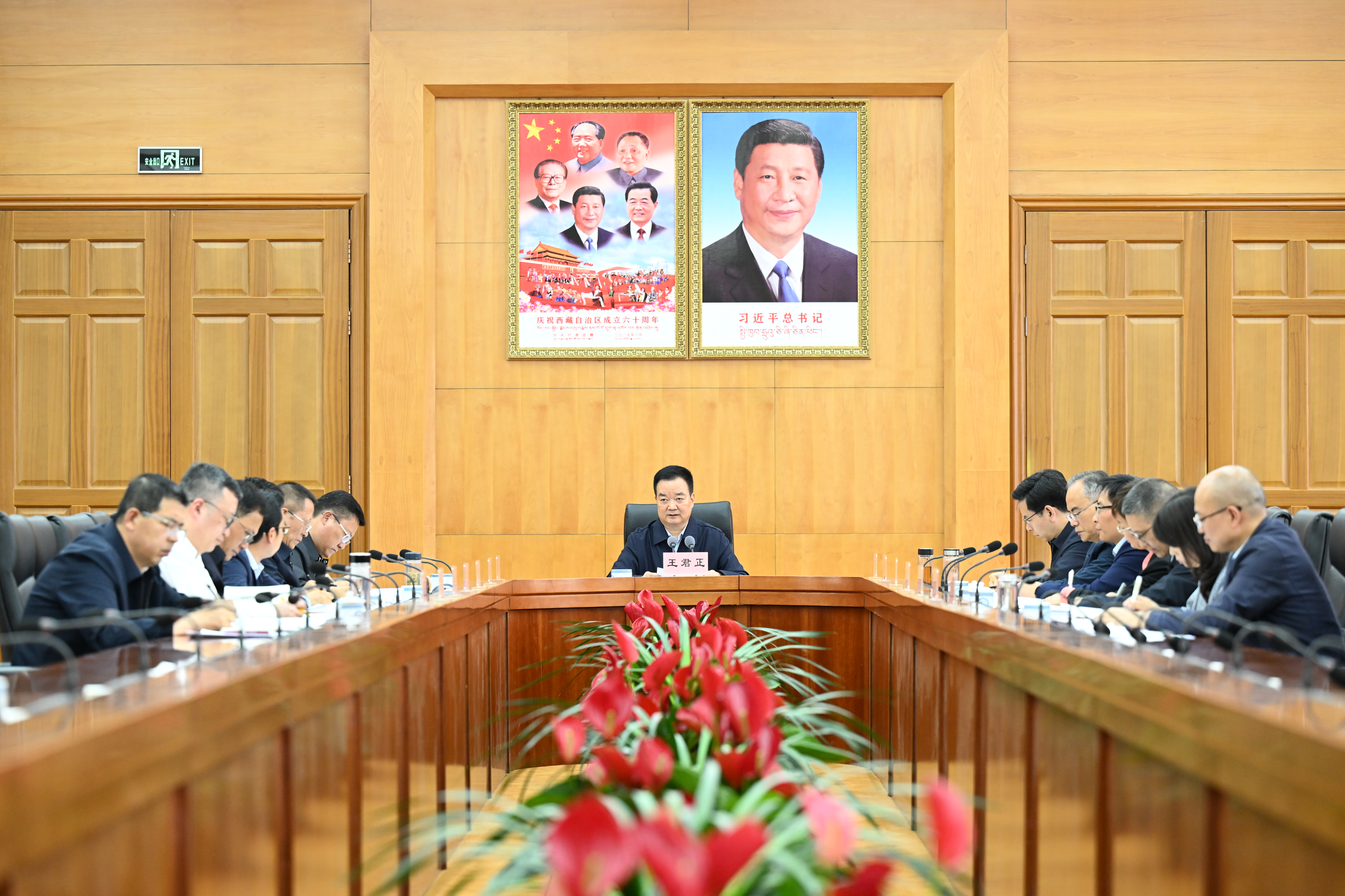 王君正主持召开自治区党委审计委员会会议
