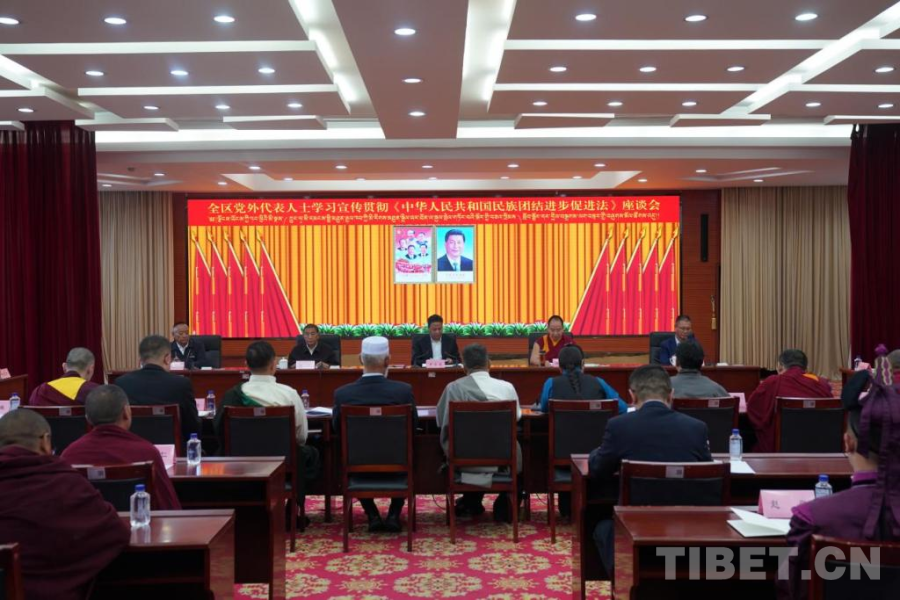班禅：民族团结是国家统一之基、社会和谐之本、发展进步之源