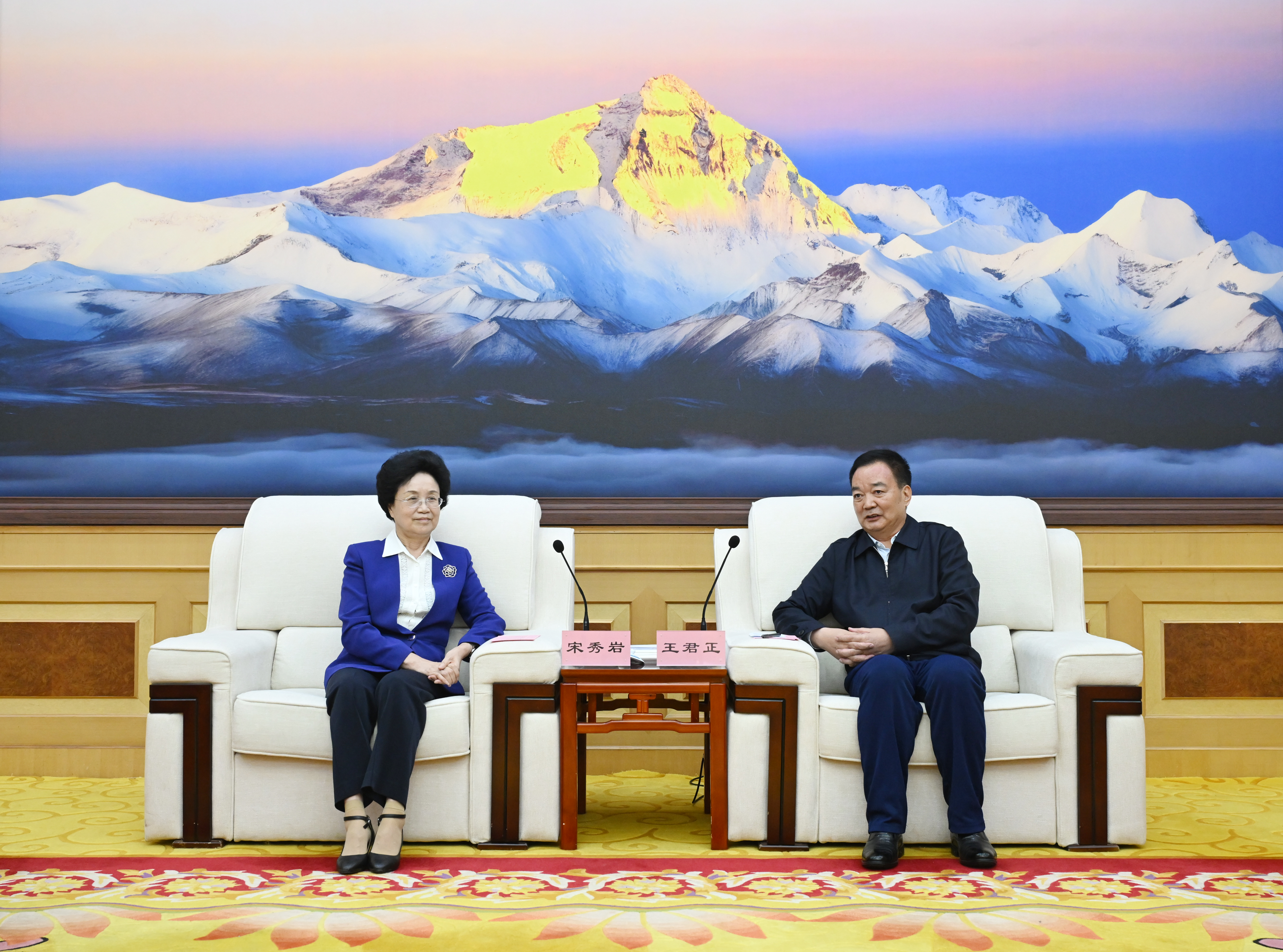 王君正与全国人大社会委副主任委员宋秀岩座谈
