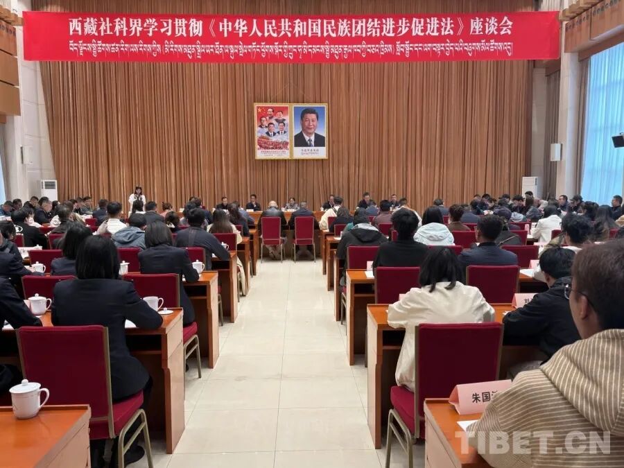 以法治之光守护民族团结生命线——西藏社科界学习贯彻民族团结进步促进法座谈会举行