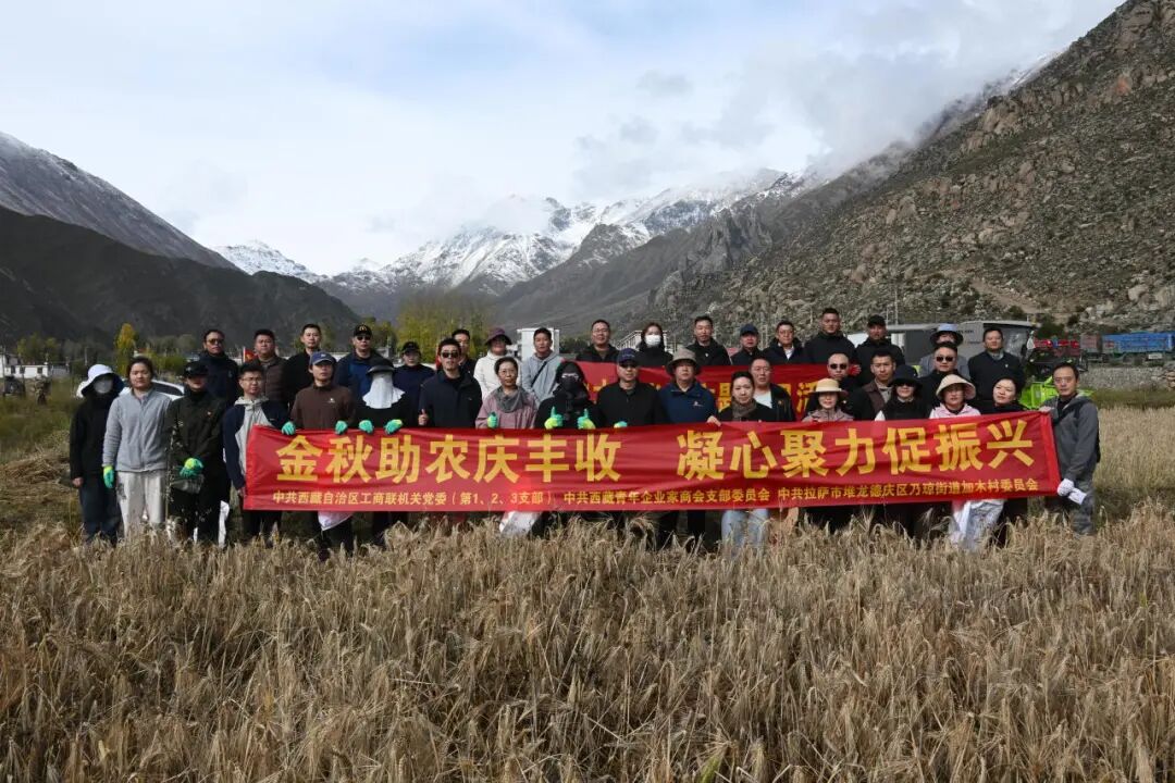 区工商联联合开展“金秋助农庆丰收 凝心聚力促振兴”民族团结进步宣传月主题党日活动